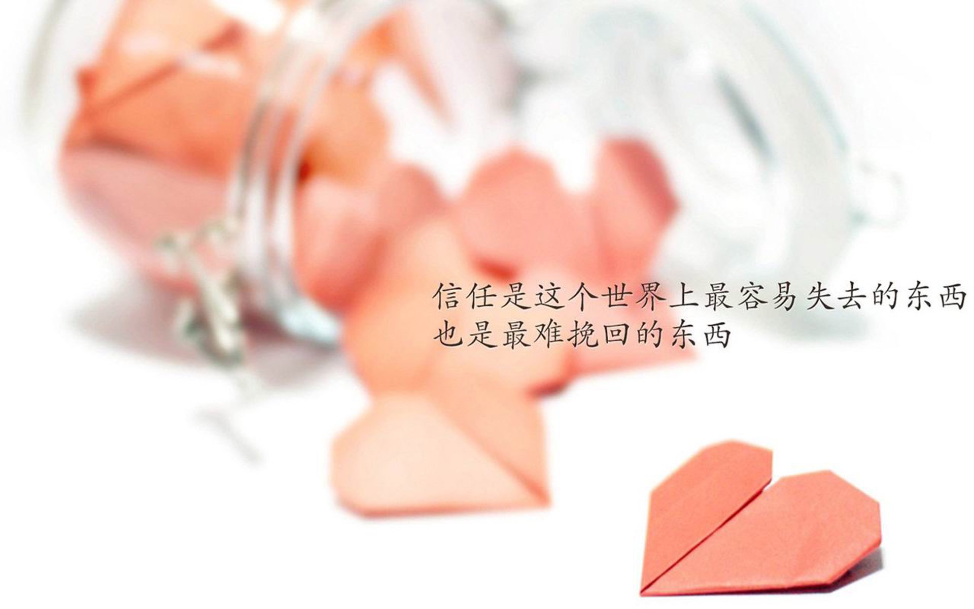 下一站焦点：谁能摘得桂冠？，摘得第一名的桂冠