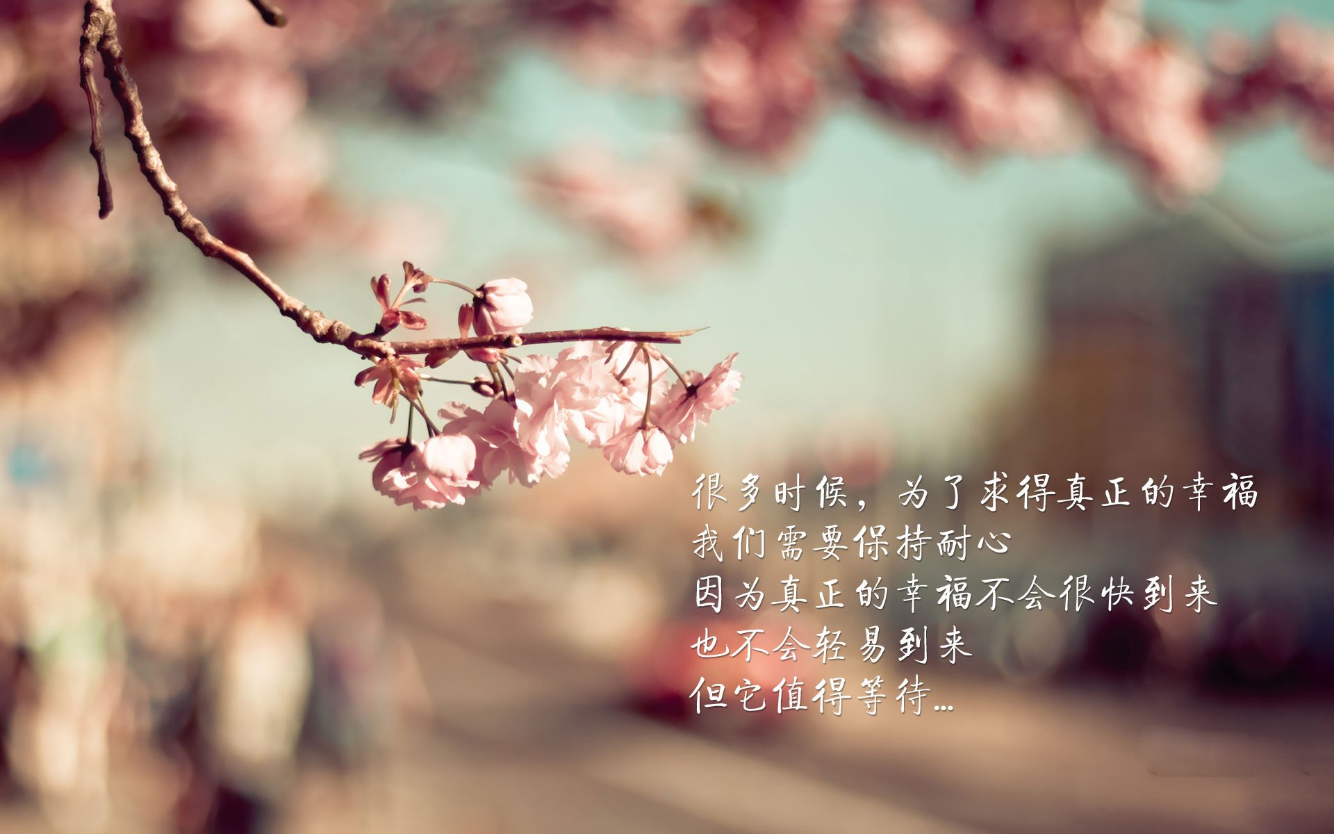 亚特兰大攻势如潮，连续获胜，亚特兰大 首发