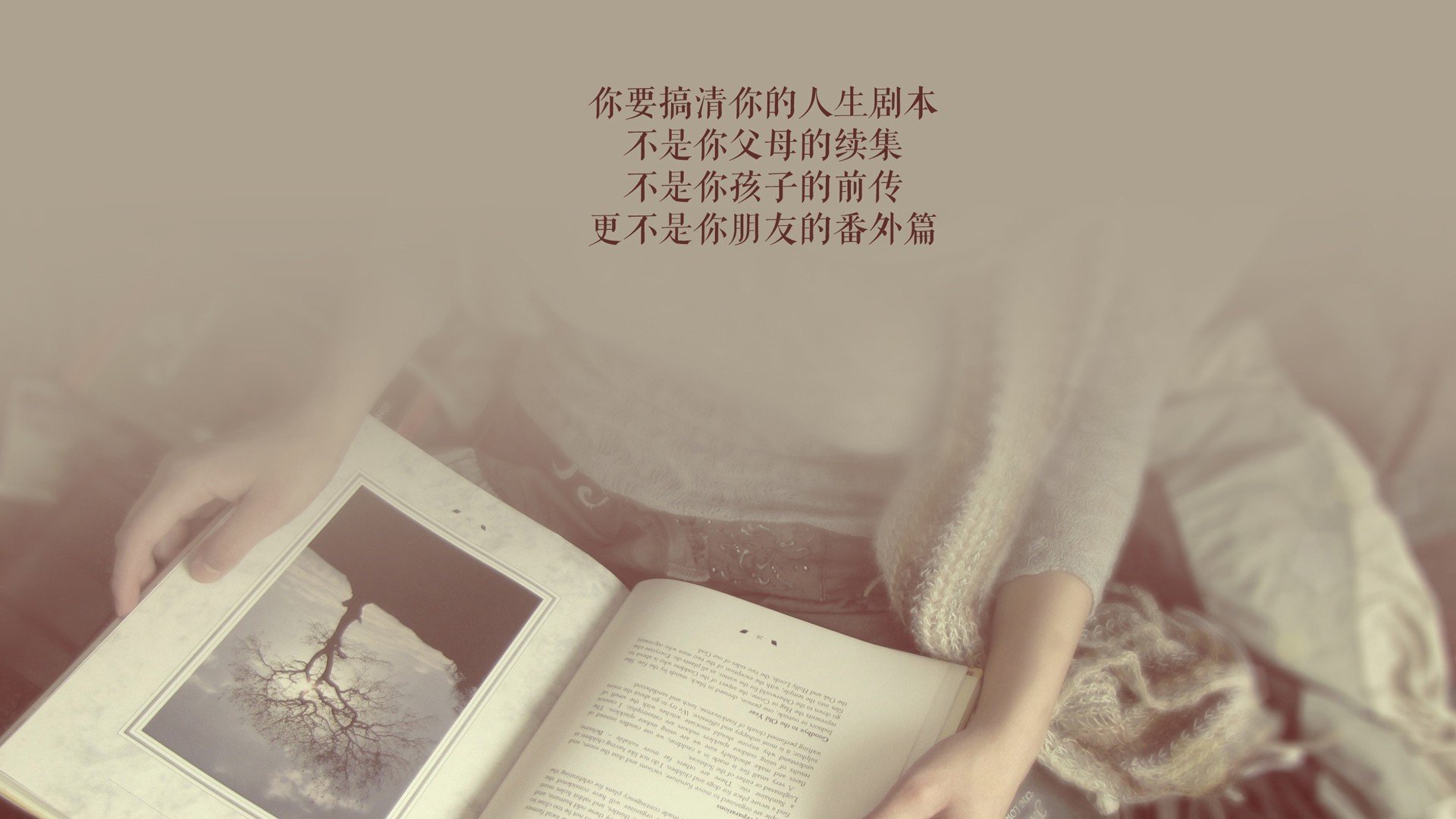球场突发：比赛中的意外瞬间回顾，球场发生冲突