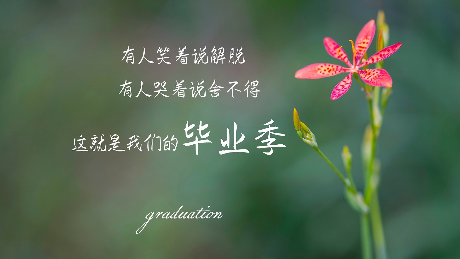 足球投资环境改善吸引更多民营资本，足球投资计划