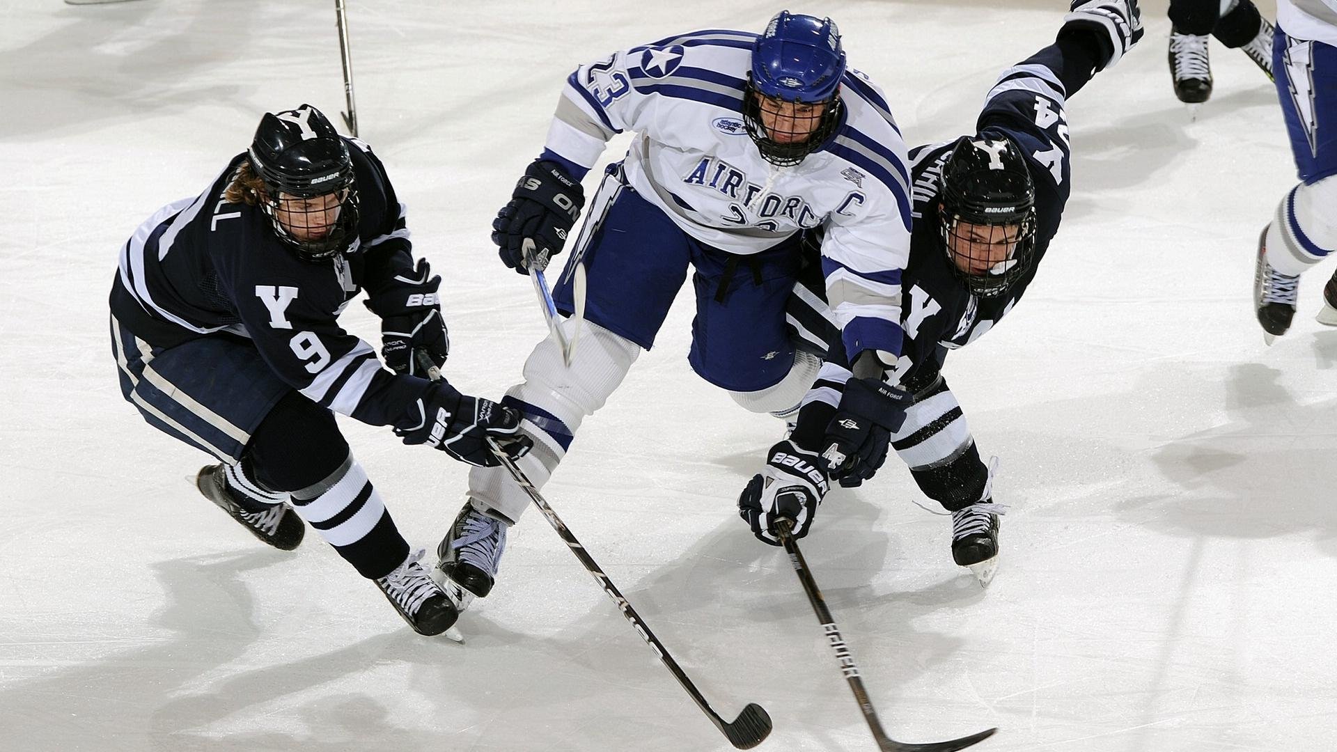 开云备用-全球车迷：比赛外的文化交流，全球车系