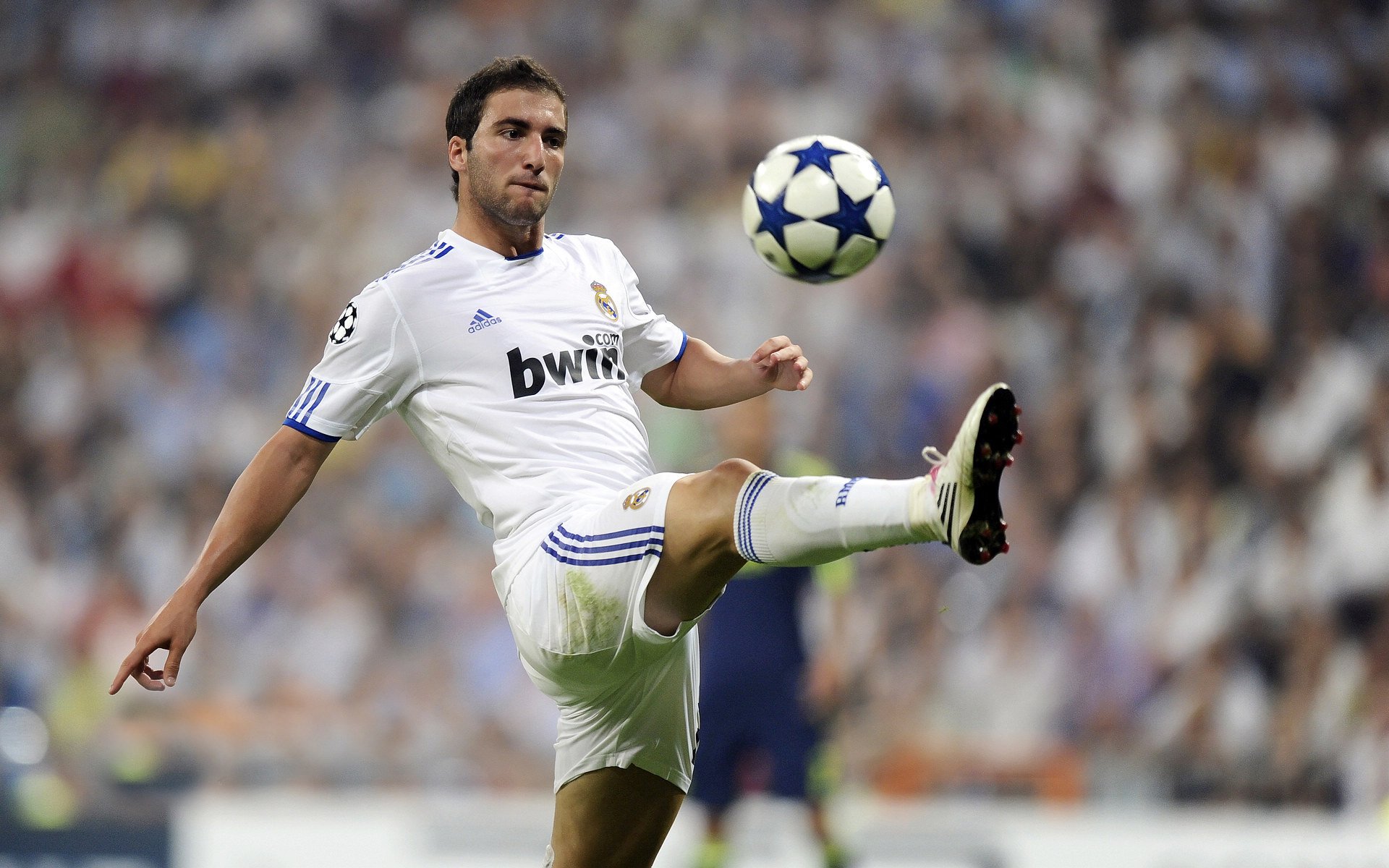 青训“专业化+国际化”战略持续深化，行业合作不断扩大